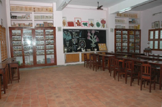 St Ignatius College of Education Tirunelveli Campus photo 3
